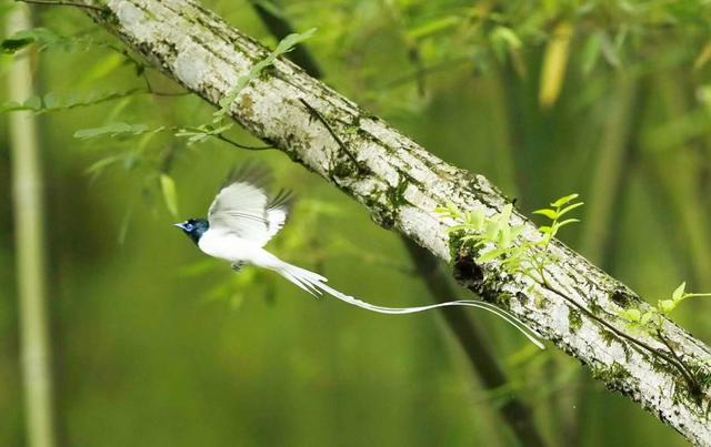 ̫�����ˣ���Ϫ���������ӡ��ٴ�������