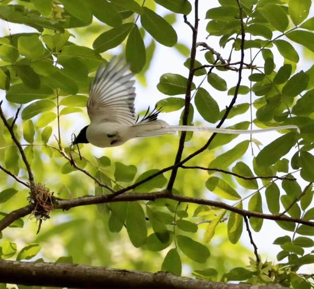 ̫�����ˣ���Ϫ���������ӡ��ٴ�������