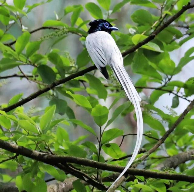 ̫�����ˣ���Ϫ���������ӡ��ٴ�������