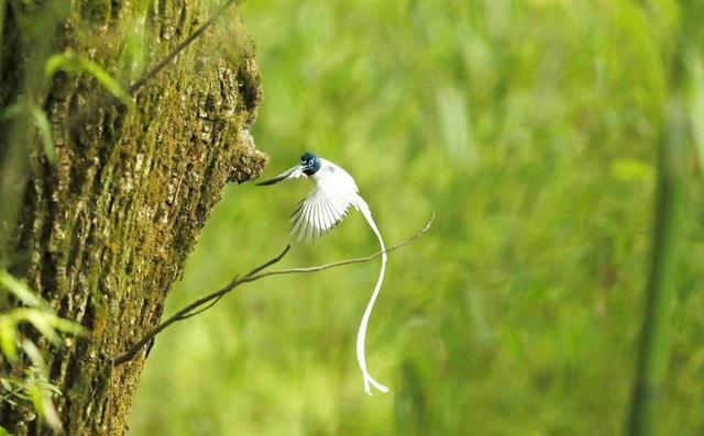 ̫�����ˣ���Ϫ���������ӡ��ٴ�������