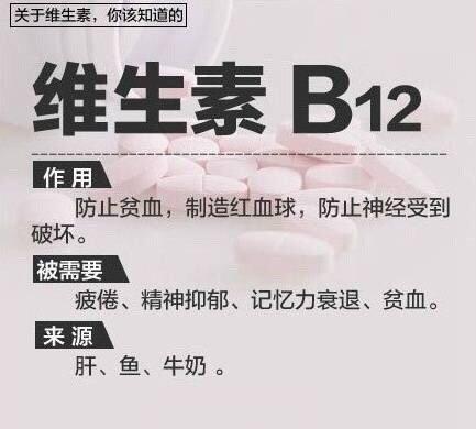 ��ȫά����ָ�ϣ��������м�������Ҫ������ά�������ü�ʳ����Դ