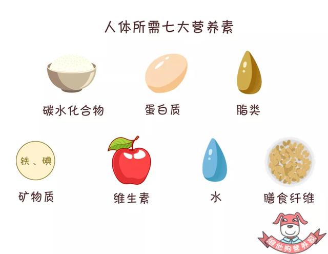 ��ȫά����ָ�ϣ��������м�������Ҫ������ά�������ü�ʳ����Դ