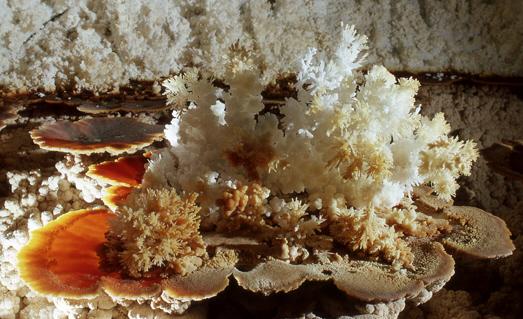 ʮ����ɫ����̾Ϊ��ֹ�ĵط�