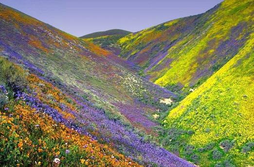 ʮ����ɫ����̾Ϊ��ֹ�ĵط�