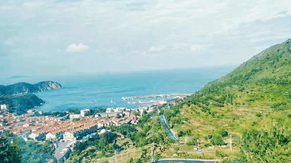 �����ൺ������10��С�£��һ��˾�Υ�Ŀ���