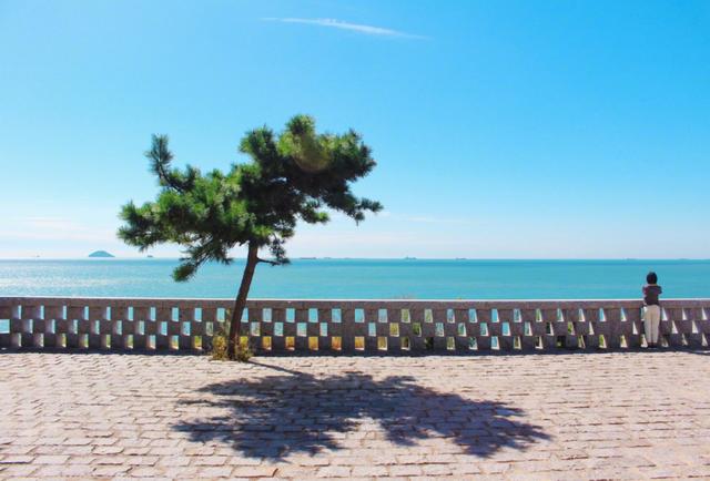 �����ൺ������10��С�£��һ��˾�Υ�Ŀ���