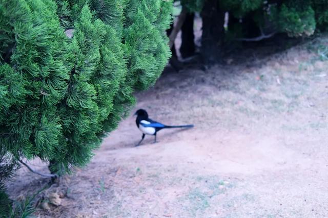 �����ൺ������10��С�£��һ��˾�Υ�Ŀ���