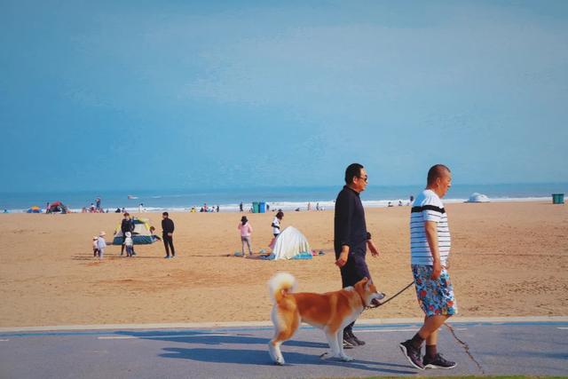 �����ൺ������10��С�£��һ��˾�Υ�Ŀ���