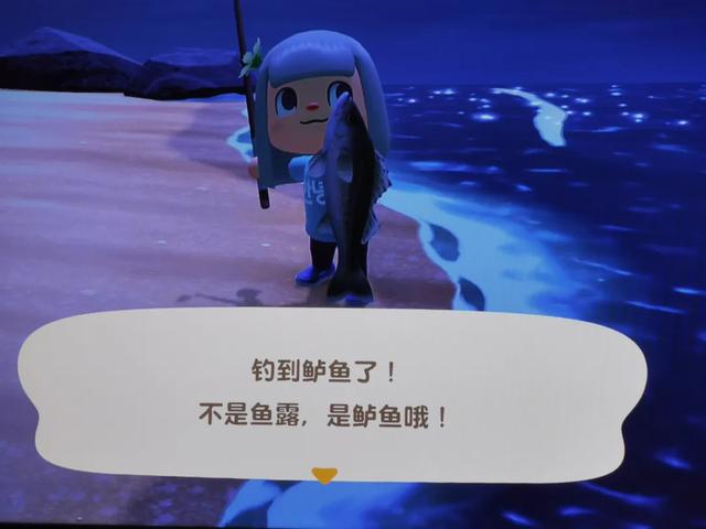 �����ൺ������10��С�£��һ��˾�Υ�Ŀ���