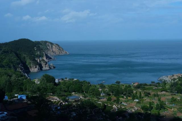 �����ൺ������10��С�£��һ��˾�Υ�Ŀ���