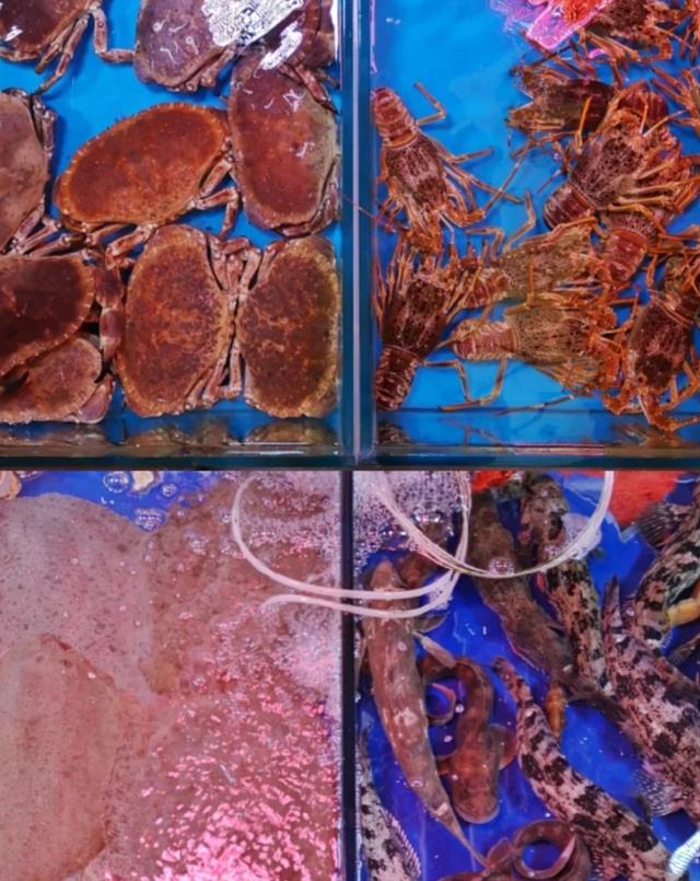 �����ൺ������10��С�£��һ��˾�Υ�Ŀ���