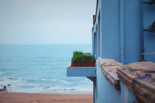 �����ൺ������10��С�£��һ��˾�Υ�Ŀ���