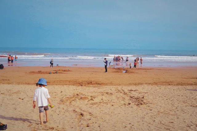 �����ൺ������10��С�£��һ��˾�Υ�Ŀ���