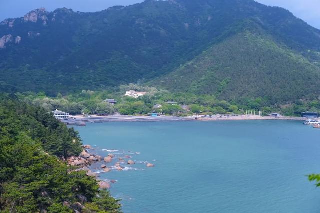 �����ൺ������10��С�£��һ��˾�Υ�Ŀ���