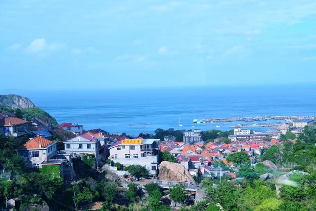 �����ൺ������10��С�£��һ��˾�Υ�Ŀ���