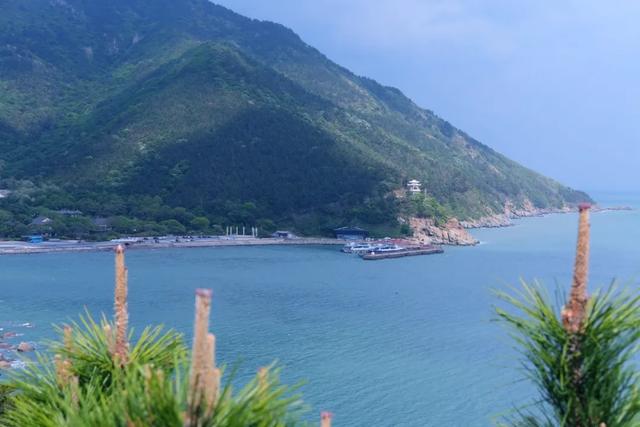 �����ൺ������10��С�£��һ��˾�Υ�Ŀ���