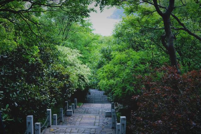 �����ൺ������10��С�£��һ��˾�Υ�Ŀ���