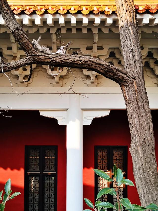 �����ൺ������10��С�£��һ��˾�Υ�Ŀ���