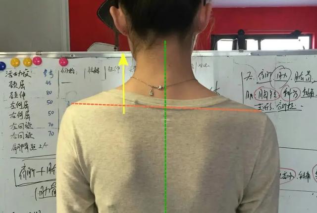 �����������10���������㳤����