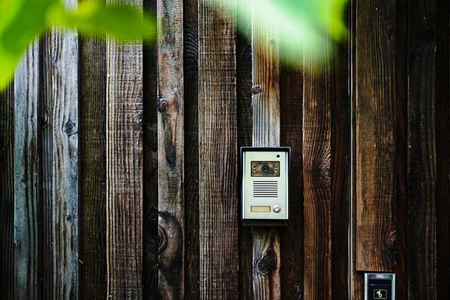 �����������������ģ��ʻ���ӵ����ө���裬�������ձ�����ѵ�