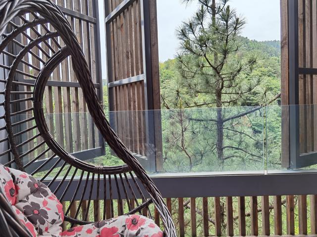 �����������������ģ��ʻ���ӵ����ө���裬�������ձ�����ѵ�