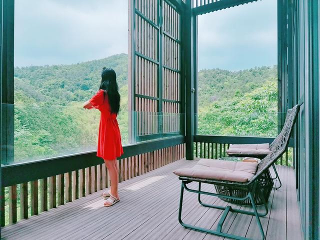 �����������������ģ��ʻ���ӵ����ө���裬�������ձ�����ѵ�