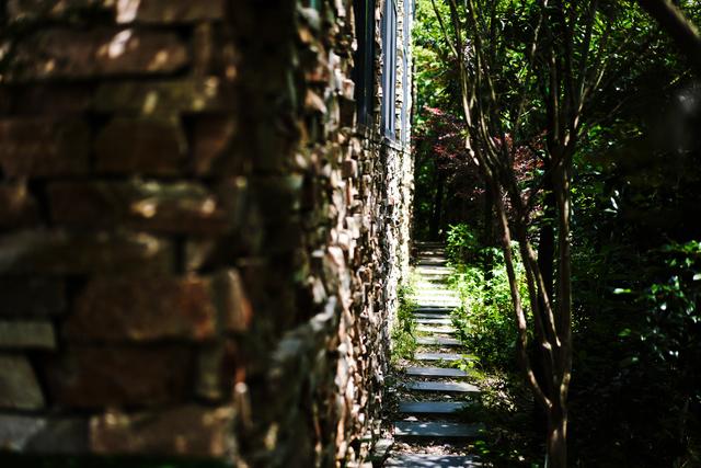 �����������������ģ��ʻ���ӵ����ө���裬�������ձ�����ѵ�