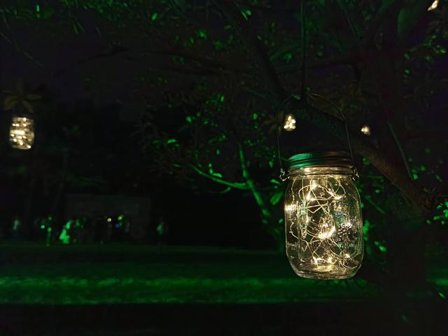 �����������������ģ��ʻ���ӵ����ө���裬�������ձ�����ѵ�