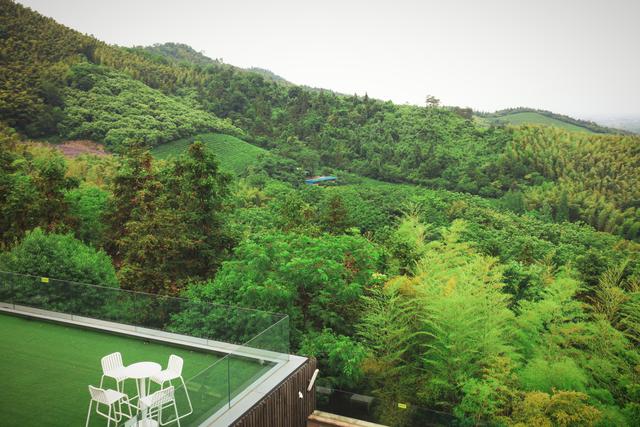 �����������������ģ��ʻ���ӵ����ө���裬�������ձ�����ѵ�