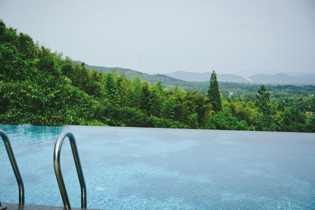 �����������������ģ��ʻ���ӵ����ө���裬�������ձ�����ѵ�