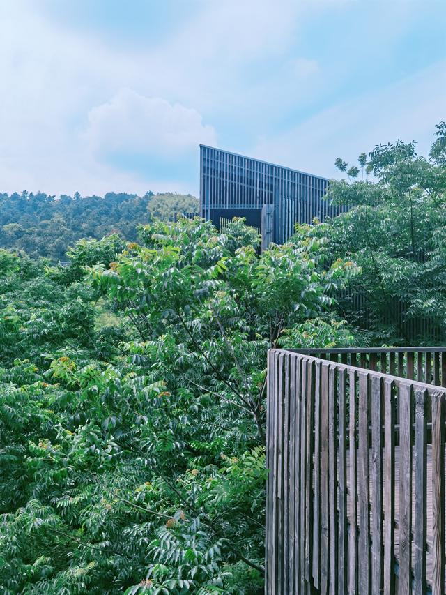 �����������������ģ��ʻ���ӵ����ө���裬�������ձ�����ѵ�