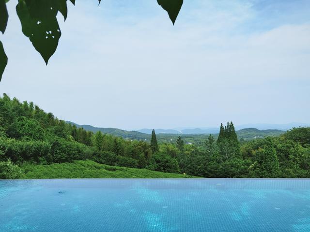 �����������������ģ��ʻ���ӵ����ө���裬�������ձ�����ѵ�