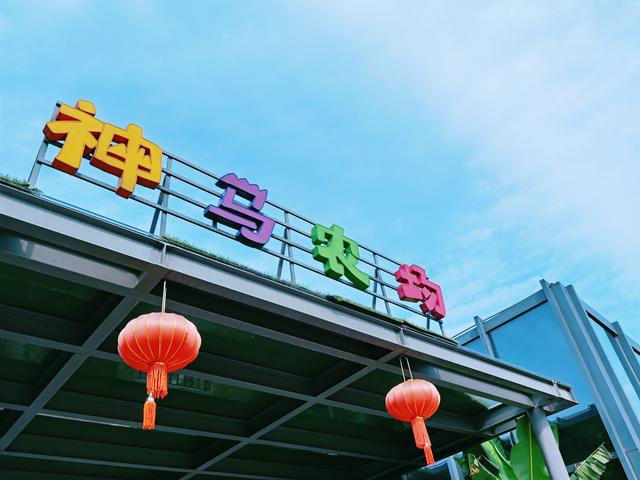 �����������������ģ��ʻ���ӵ����ө���裬�������ձ�����ѵ�