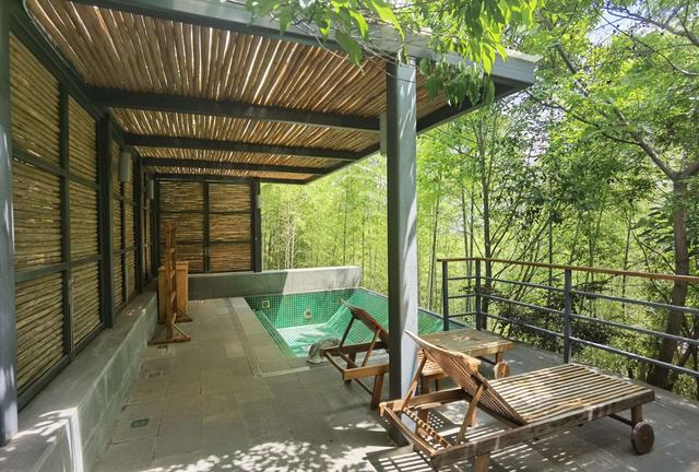 �����������������ģ��ʻ���ӵ����ө���裬�������ձ�����ѵ�