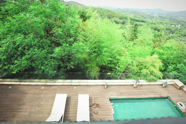 �����������������ģ��ʻ���ӵ����ө���裬�������ձ�����ѵ�