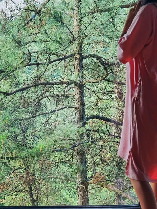 �����������������ģ��ʻ���ӵ����ө���裬�������ձ�����ѵ�