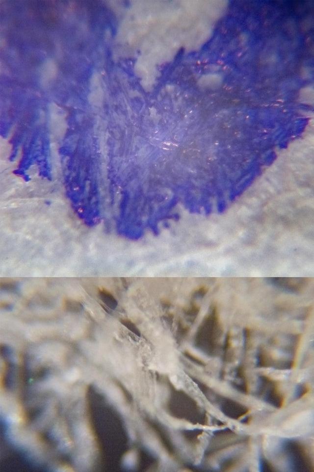 30�Ż�ü�����Ƭ����������������