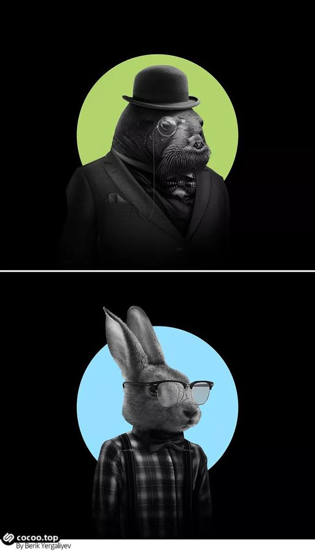 �����Ч�������Ӿ��������