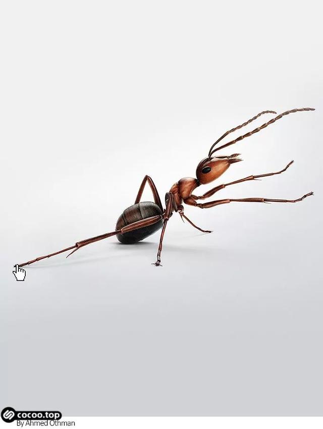 �����Ч�������Ӿ��������