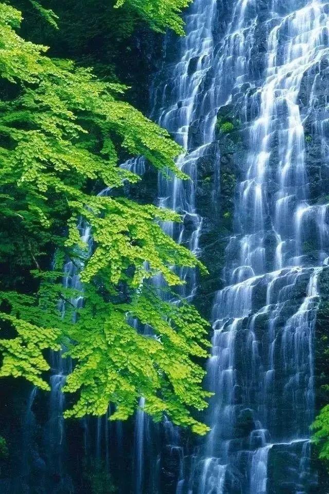 ���� �� ������