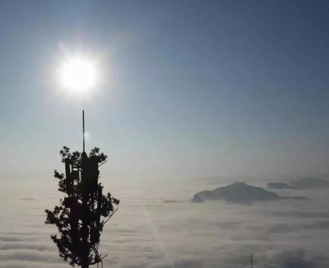 ���� �� ������