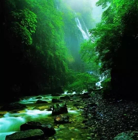 ���� �� ������