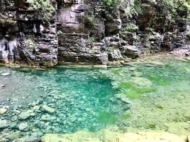 ���� �� ������