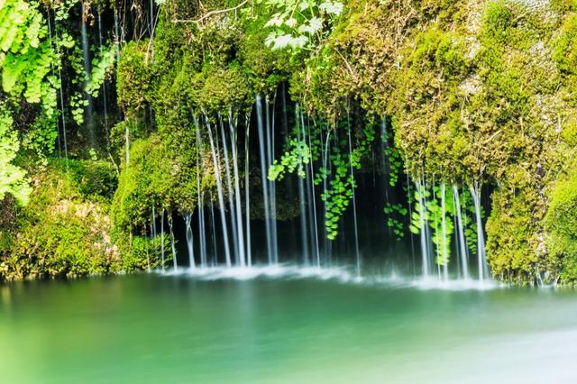 ���� �� ������