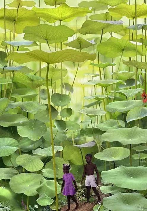 35�ž���������̫����