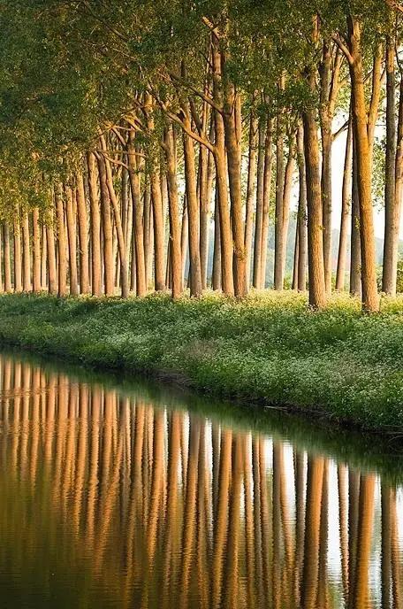 35�ž���������̫����