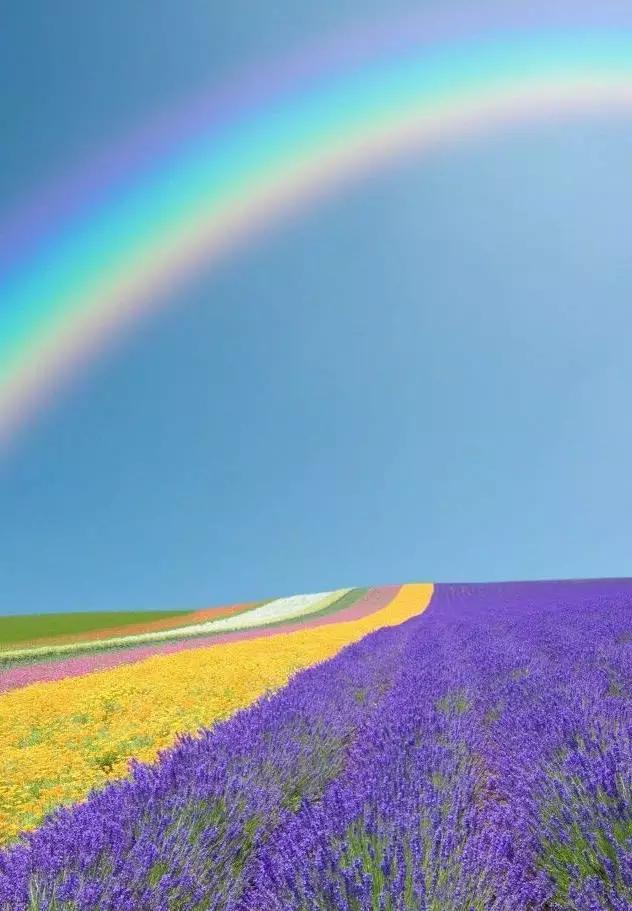 35�ž���������̫����