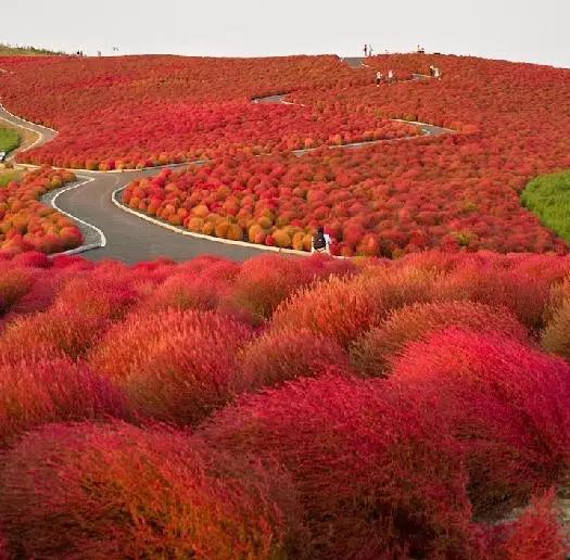 35�ž���������̫����