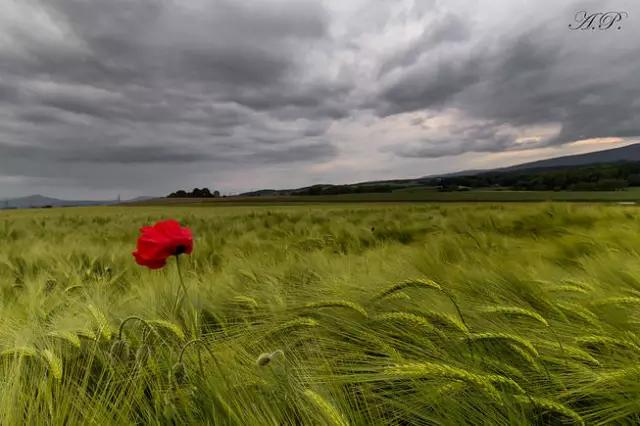 35�ž���������̫����