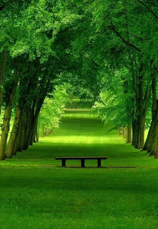 35�ž���������̫����